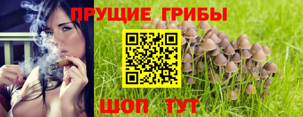 Галлюциногенные грибы мицелий Печора